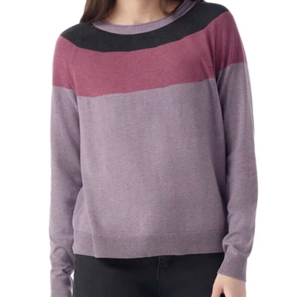 Smartwool Women's Edgewood Colorblock Crew Sweater Size XS Chalk Violet Heather